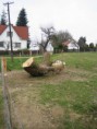/album/fotogalerie/img-4439-jpg/